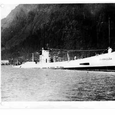 SS Barracuda SS-163