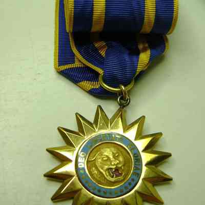 Service Medal National Guard in box