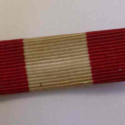 Michigan State Troops Service Ribbon