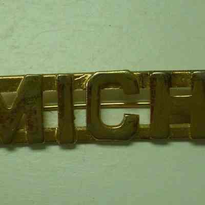 MICH Officers Collar Device, Gold
