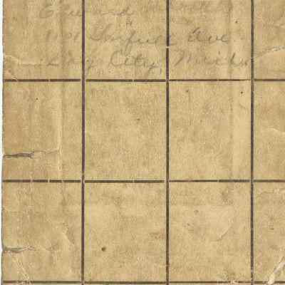 Suez Canal Police ID card for Merchant Marine user: Rear