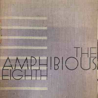 The Amphibious Eighth
