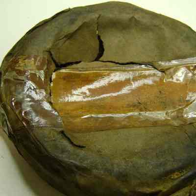 Clark CA1 A.3664 spare