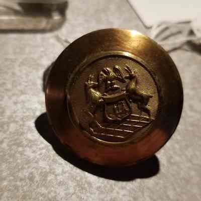 Michigan State Troops Cap device
