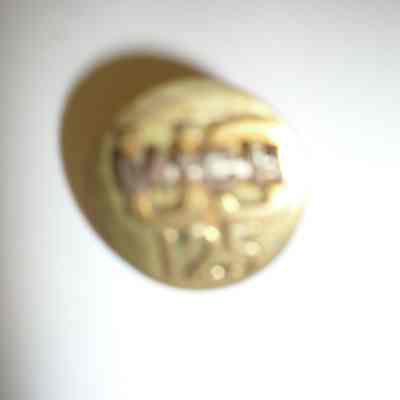 US Army enlisted collar