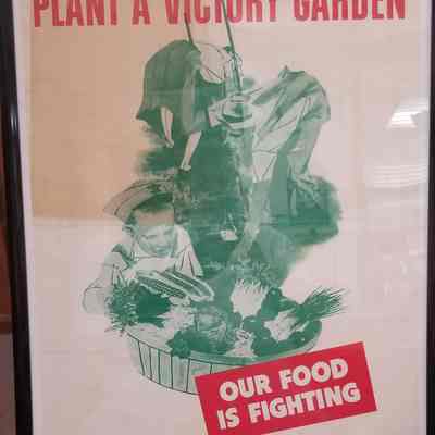 Plant a Victory Garden