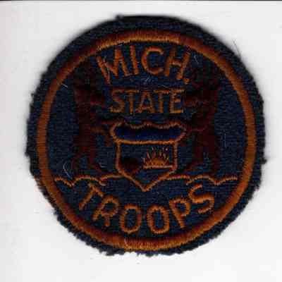 Michigan State Troops Patch