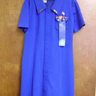 VFW Ladies Auxiliary Uniform Dress
