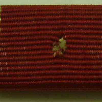 CAP Encampment Ribbon