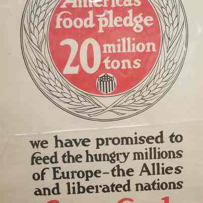 American's Food Pledge- 20 Million Tons Poster