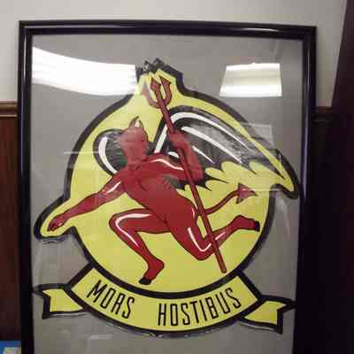 107th Fighter Sqdrn Tail Decal