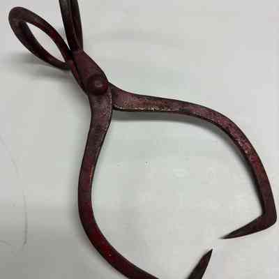 Ice tongs