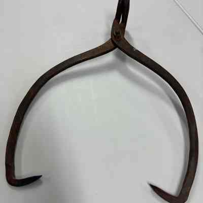 Ice tongs