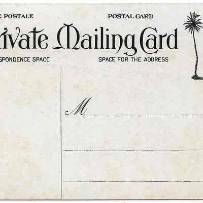 Author's Personal Collection: Unused postcard
