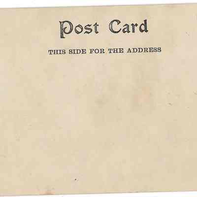 Author's Personal Collection: Unused postcard