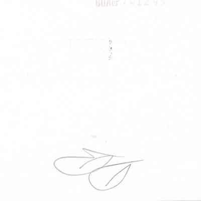 Author's Personal Collection: Back of Photo - Scribbled??