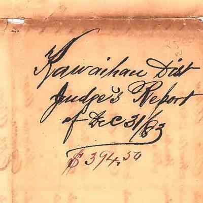 Author's Personal Collection: Close up image of Kawaihau District (Kauai) Judge's Report of Dec 31, 1883