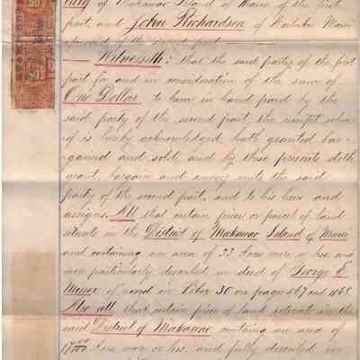 Author's Personal Collection: Attached 2 Revenue 50 cents HR2 - Hawaii Revenue Stamps, yellow orange
