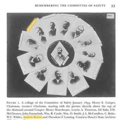 For reference only: Committee of Safety January 1893.