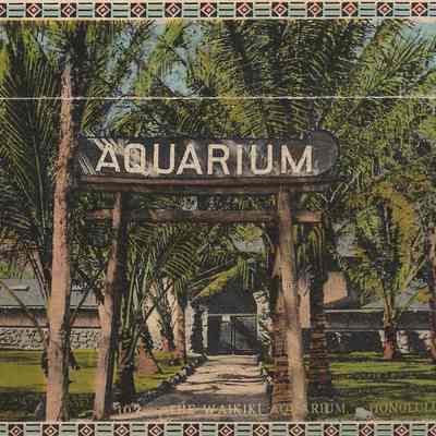 The Honolulu Aquarium Pictures of Fish 1916