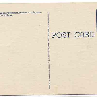 Author's Personal Collection: Unused Postcard