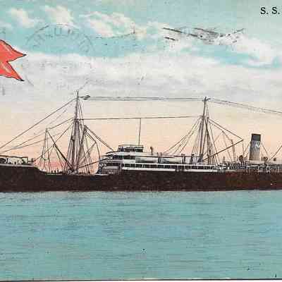 Author's Personal Collection: S.S. Wilhelmina