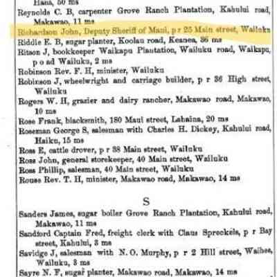 For reference only: 1880 Polk Directory Listing for John Richardson