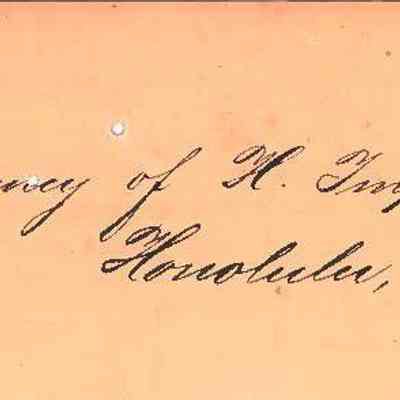 Author's Personal Collection: Goo Kim was a "Commercial Agency" of Hawaii 
Scanner at office center cut off the year of document,  Honolulu, 12th, August 1884.

"Commercial Agency of H. Temp? Majesty of China,
Honolulu, 12th August 1884"