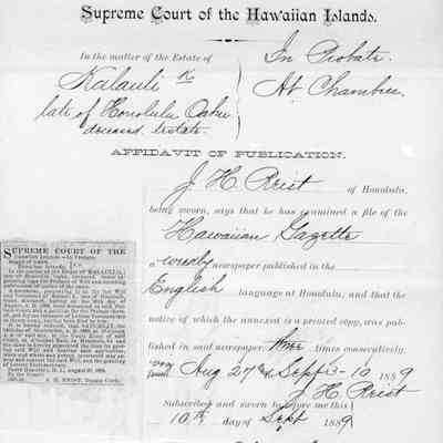 For reference only: Document while working for the Supreme Court of the Hawaiian Islands
