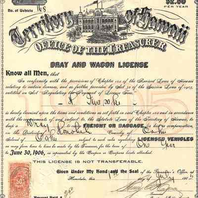 Dray and Wagon License