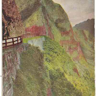 Nuuanu Pali