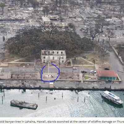 The Famed 150 Year Old Banyan Tree, Courthouse, Flagpole highlighted Aug 8, 2023