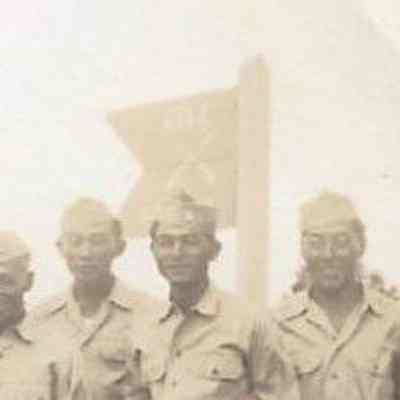 Author's Personal Collection: 442nd Flag (Faint)
