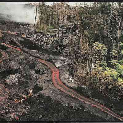 Author's Personal Collection: Rivers of lava cut into a native 'ohi'a forest on the slopes of Kilauea';s east rift zone. The main pahoehoe flow has developed levees about 3 feet high on either side, channeling the lava over an earlier 'a'a flow. J. D. Griggs 1990.