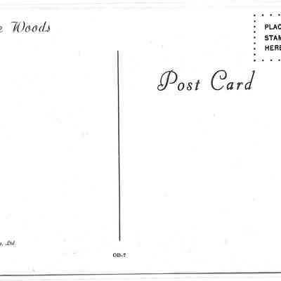Author's Personal Collection: Modern reproduced postcard