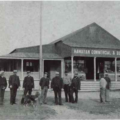 For reference only: Postoffice in Paradise Credit