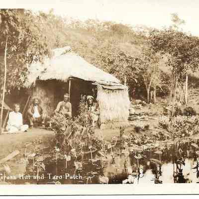 Grass Hut and Taro Patch