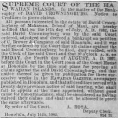 For reference only: Article dated July 14, 1882 showing a bankrupcty petition by Dvid Crowningburg.