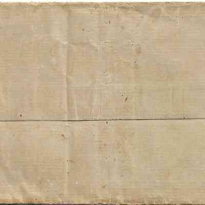 Author's Personal Collection: Heavy material used as there are thread fibers used in envelope.