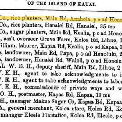 For reference only: Chulan & Company from the Polk 1880 Hawaiian Kingdom Directory page 39