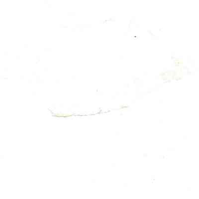 Author's Personal Collection: Cover back