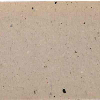 Author's Personal Collection: Photo affixed to cardstock (back)