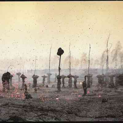Author's Personal Collection: Lava trees are formed when a fast moving pahoehoe flow moves through a forest of living trees. The fluid lava solidifies against the trees before they ignite. The surrounding flow then drains away, leaving behind a fragile forest of rock.
J. D. Griggs 1983.