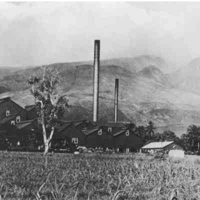 For reference only: Pioneer Mill photo