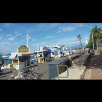 Author's Personal Video: Video from March 1, 2019.
Happier days featuring Lahaina Harbor, the flagpole, Pioneer Inn, the old Lahaina Courthouse, while the birds cheerfully keep chirping away!