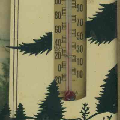 Thermometer