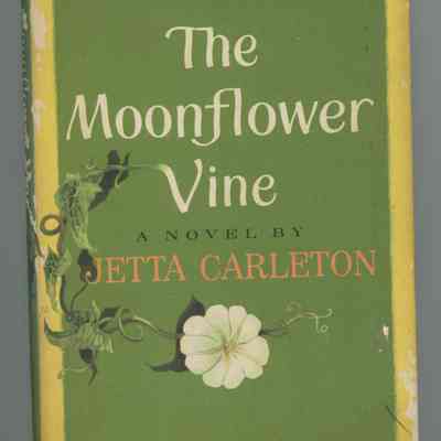 The Moonflower Vine