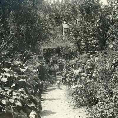 "Matheson Garden"