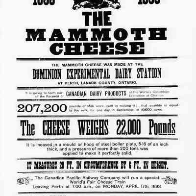 Mammoth Cheese Poster