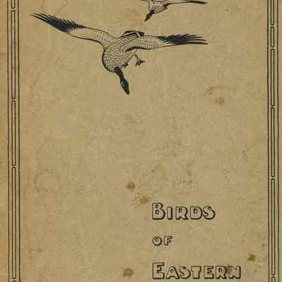 "Birds of Eastern Canada"